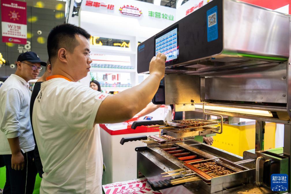 专业电子游艺